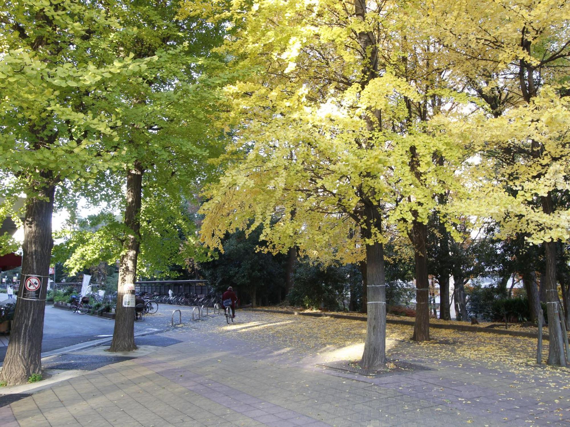 Ferienwohnung 和貴ビル Präfektur Tokio Exterior foto